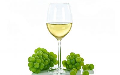 Các giống nho sản xuất rượu vang trắng