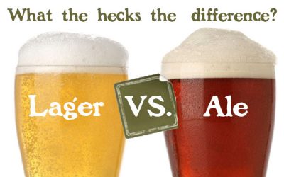 Những điểm khác biệt rõ rệt nhất giữa Bia Ale và Bia Lager